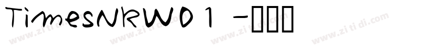 TimesNRW01 字体转换